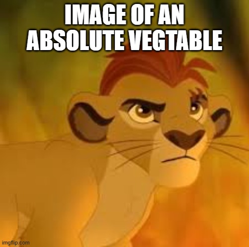Kion crybaby | IMAGE OF AN ABSOLUTE VEGTABLE | image tagged in kion crybaby | made w/ Imgflip meme maker