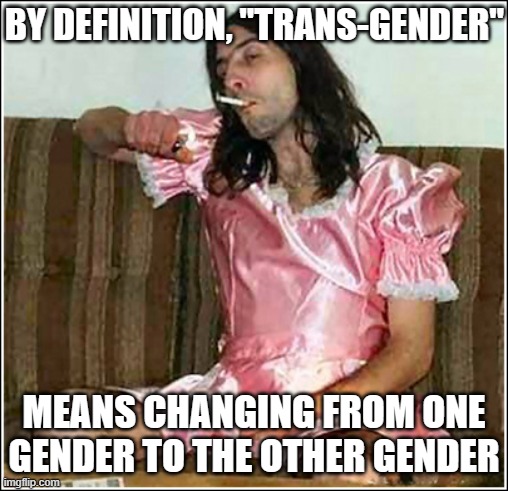 Transgender rights | BY DEFINITION, "TRANS-GENDER" MEANS CHANGING FROM ONE GENDER TO THE OTHER GENDER | image tagged in transgender rights | made w/ Imgflip meme maker