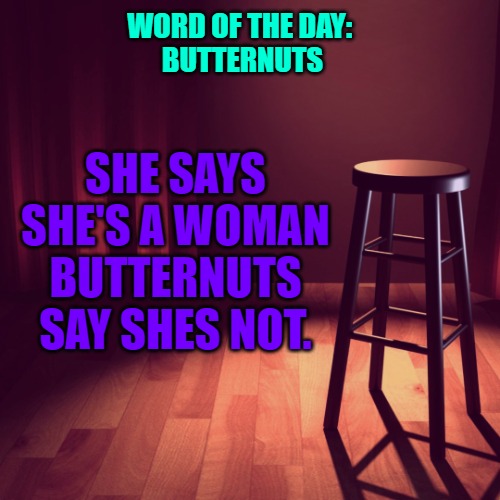 butternuts | WORD OF THE DAY: 
BUTTERNUTS; SHE SAYS SHE'S A WOMAN BUTTERNUTS SAY SHES NOT. | image tagged in joke template,butternuts | made w/ Imgflip meme maker