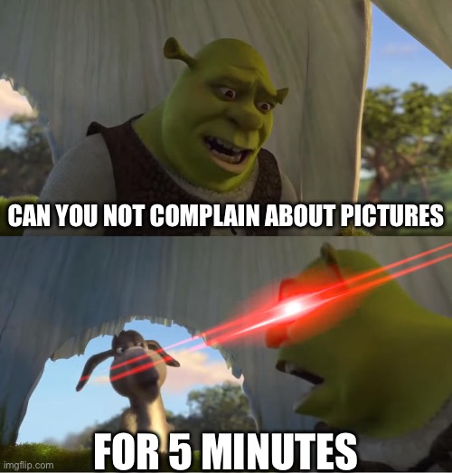 Shrek For Five Minutes | CAN YOU NOT COMPLAIN ABOUT PICTURES FOR 5 MINUTES | image tagged in shrek for five minutes | made w/ Imgflip meme maker