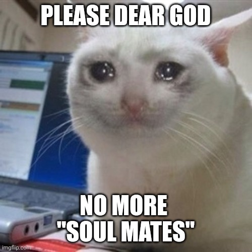 Crying cat | PLEASE DEAR GOD; NO MORE 
"SOUL MATES" | image tagged in crying cat | made w/ Imgflip meme maker