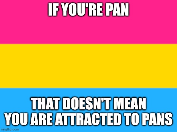 Funny pride slogans pt 4 | IF YOU'RE PAN; THAT DOESN'T MEAN YOU ARE ATTRACTED TO PANS | image tagged in pansexual flag | made w/ Imgflip meme maker