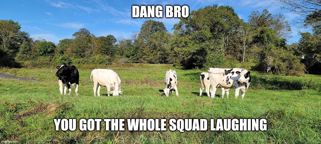 Dang bro. | DANG BRO; YOU GOT THE WHOLE SQUAD LAUGHING | image tagged in cows,you got the whole squad laughing | made w/ Imgflip meme maker