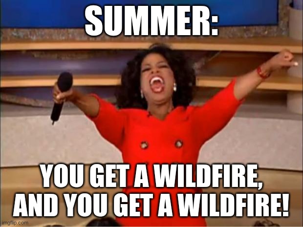 Oprah You Get A Meme | SUMMER:; YOU GET A WILDFIRE, AND YOU GET A WILDFIRE! | image tagged in memes,oprah you get a | made w/ Imgflip meme maker