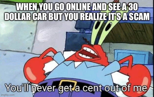 Mr. Krabs You'll never get a cent out of me! | WHEN YOU GO ONLINE AND SEE A 30 DOLLAR CAR BUT YOU REALIZE IT’S A SCAM | image tagged in mr krabs you'll never get a cent out of me | made w/ Imgflip meme maker