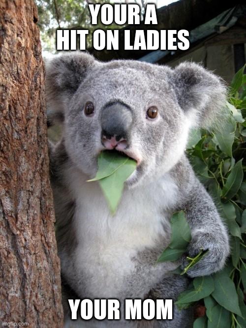 Surprised Koala | YOUR A HIT ON LADIES; YOUR MOM | image tagged in memes,surprised koala | made w/ Imgflip meme maker