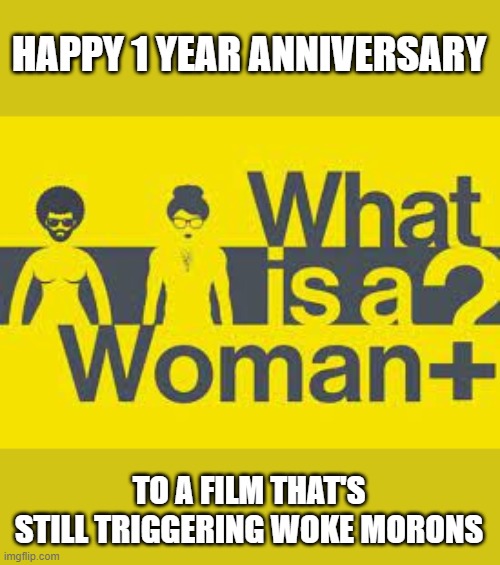 A man can never be a woman. A woman can never be a man. #facts | HAPPY 1 YEAR ANNIVERSARY; TO A FILM THAT'S STILL TRIGGERING WOKE MORONS | image tagged in memes,politics,movies,gender | made w/ Imgflip meme maker