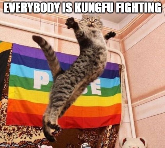 cat doing kungfu | EVERYBODY IS KUNGFU FIGHTING | image tagged in cats | made w/ Imgflip meme maker