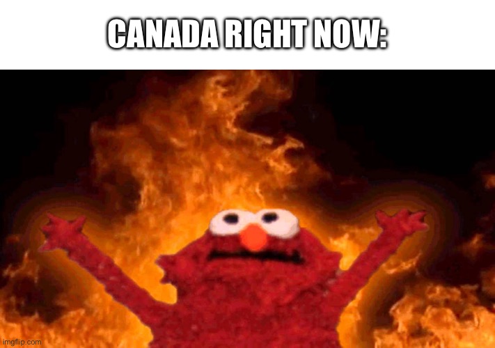 elmo fire | CANADA RIGHT NOW: | image tagged in elmo fire | made w/ Imgflip meme maker