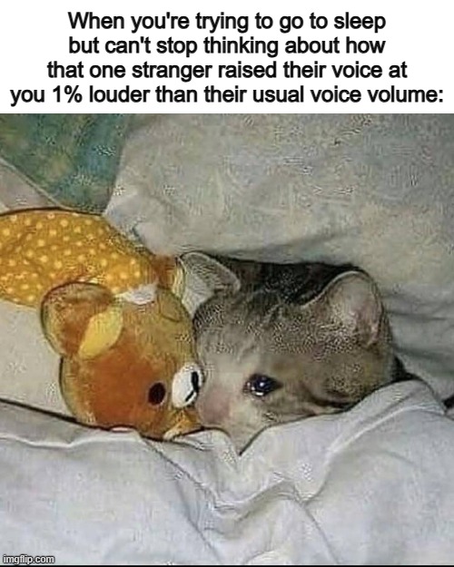 We overthink over the most stupidest of things -_- | When you're trying to go to sleep but can't stop thinking about how that one stranger raised their voice at you 1% louder than their usual voice volume: | image tagged in crying cat in bed | made w/ Imgflip meme maker