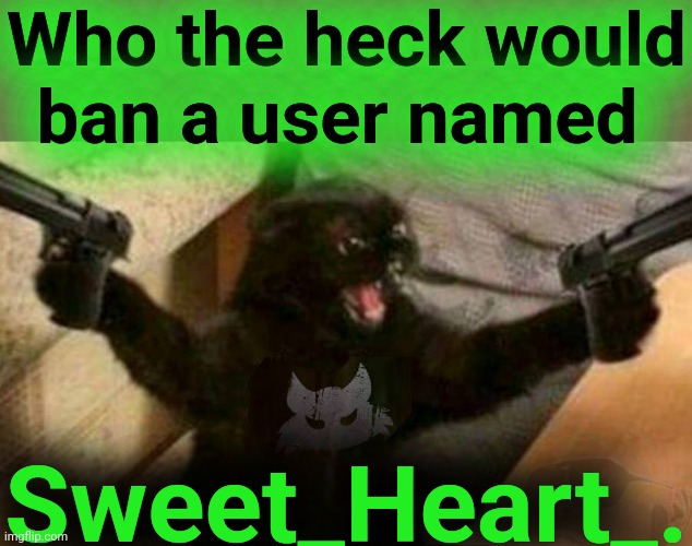 Cat With Guns | Who the heck would
ban a user named Sweet_Heart_. | image tagged in cat with guns | made w/ Imgflip meme maker