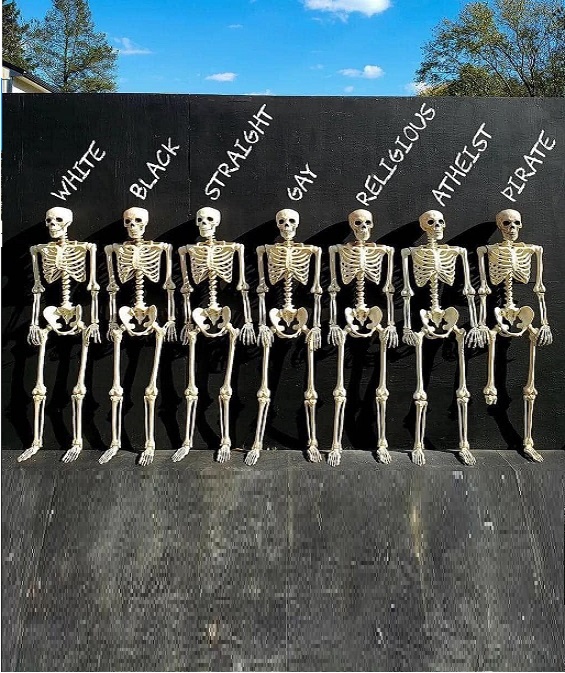 High Quality skeleton's are alike Blank Meme Template