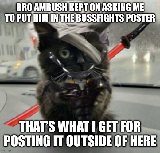 Doktor, Turn Off My Cute Inhibitors! | BRO AMBUSH KEPT ON ASKING ME TO PUT HIM IN THE BOSSFIGHTS POSTER; THAT’S WHAT I GET FOR POSTING IT OUTSIDE OF HERE | image tagged in raiden cat | made w/ Imgflip meme maker