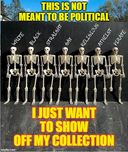 my collection | THIS IS NOT MEANT TO BE POLITICAL; I JUST WANT TO SHOW OFF MY COLLECTION | image tagged in skeleton's are alike | made w/ Imgflip meme maker