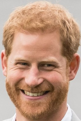 Prince Harry Blank Meme Template