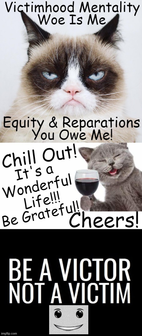 Two Outlooks ~~ One Optimistic Outcome | image tagged in politics,optimist,pessimist,choices,wine glass is half full not half empty,it's a wonderful life | made w/ Imgflip meme maker