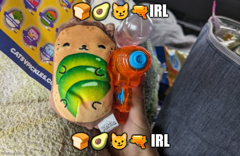 Cat with gun | 🍞🥑😼🔫IRL; 🍞🥑😼🔫 IRL | image tagged in cat with gun | made w/ Imgflip meme maker