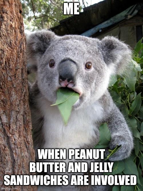 PB&J is absolutely delicious | ME; WHEN PEANUT BUTTER AND JELLY SANDWICHES ARE INVOLVED | image tagged in memes,surprised koala | made w/ Imgflip meme maker