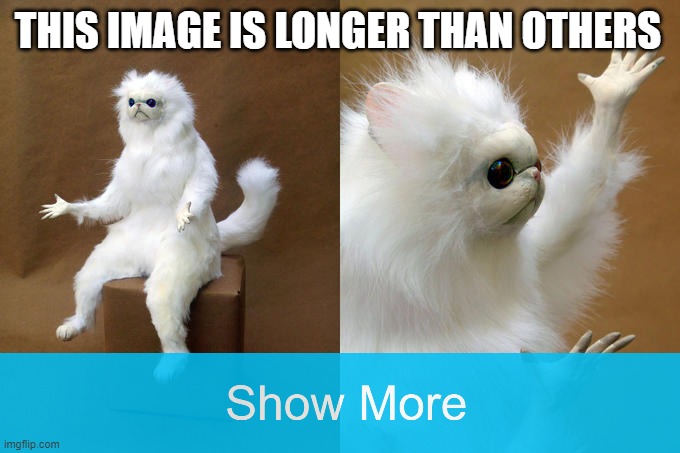 weird image | THIS IMAGE IS LONGER THAN OTHERS | image tagged in memes,persian cat room guardian,long,smart | made w/ Imgflip meme maker