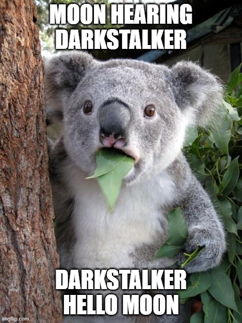 Surprised Koala | MOON HEARING DARKSTALKER; DARKSTALKER HELLO MOON | image tagged in memes,surprised koala | made w/ Imgflip meme maker