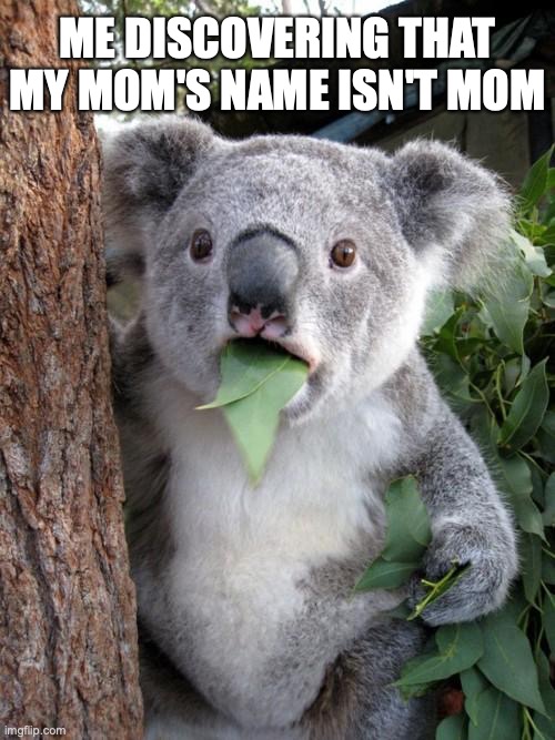 Then what is her name????? | ME DISCOVERING THAT MY MOM'S NAME ISN'T MOM | image tagged in memes,relatable memes,funny memes | made w/ Imgflip meme maker