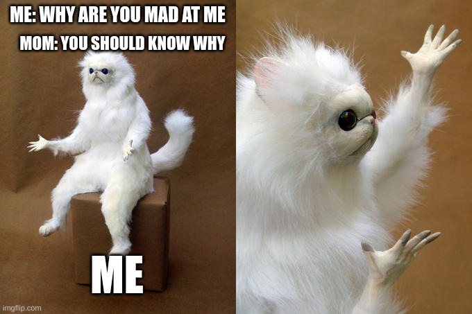 Persian Cat Room Guardian | ME: WHY ARE YOU MAD AT ME; MOM: YOU SHOULD KNOW WHY; ME | image tagged in memes,persian cat room guardian | made w/ Imgflip meme maker