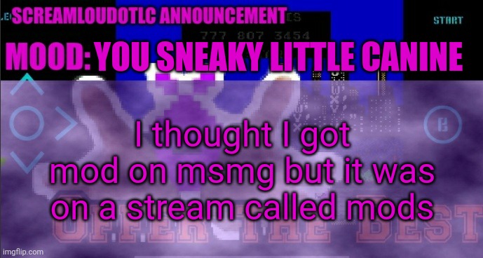 ScreamLoud763 announcement | YOU SNEAKY LITTLE CANINE; I thought I got mod on msmg but it was on a stream called mods | image tagged in screamloud763 announcement | made w/ Imgflip meme maker