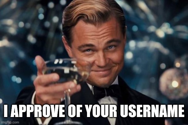 Leonardo Dicaprio Cheers Meme | I APPROVE OF YOUR USERNAME | image tagged in memes,leonardo dicaprio cheers | made w/ Imgflip meme maker