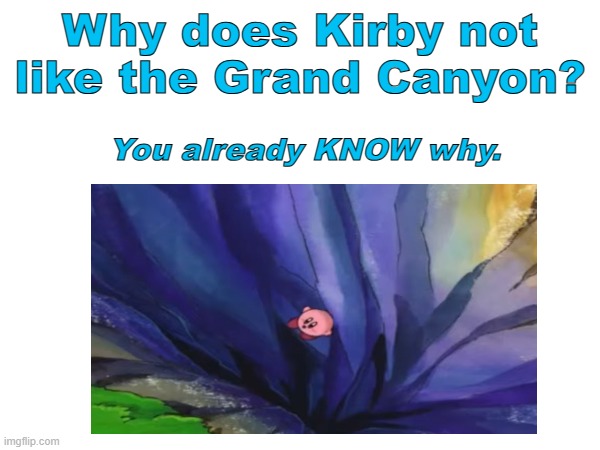 Kirby at the grand canyon | Why does Kirby not like the Grand Canyon? You already KNOW why. | image tagged in kirby,the grand canyon | made w/ Imgflip meme maker
