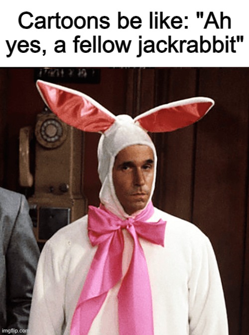 Couldn't it be a bit more not-obvious? :P | Cartoons be like: "Ah yes, a fellow jackrabbit" | made w/ Imgflip meme maker