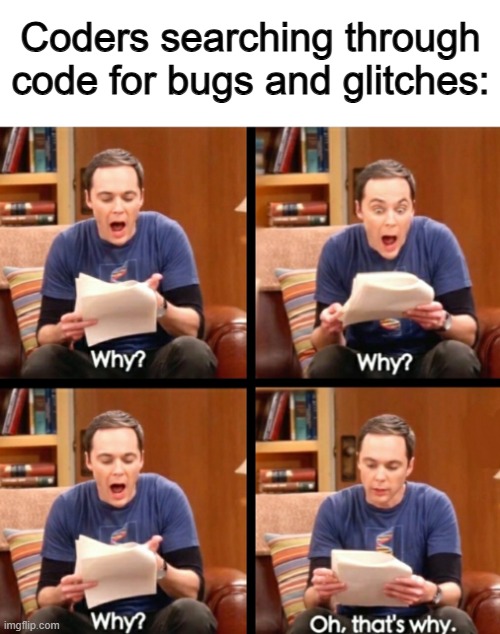 Bug searching in a nutshell... | Coders searching through code for bugs and glitches: | image tagged in why why why oh that's why | made w/ Imgflip meme maker