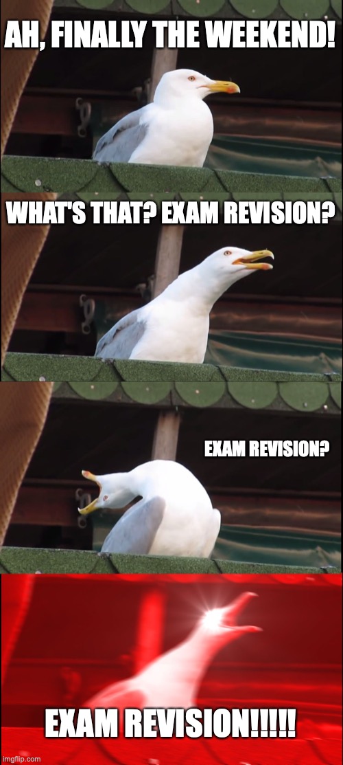 Ughhhh, Exammmss! | AH, FINALLY THE WEEKEND! WHAT'S THAT? EXAM REVISION? EXAM REVISION? EXAM REVISION!!!!! | image tagged in memes,inhaling seagull,homework,relatable | made w/ Imgflip meme maker