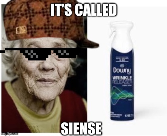 SIENSE | IT’S CALLED; SIENSE | image tagged in funny,old,grandma,science | made w/ Imgflip meme maker