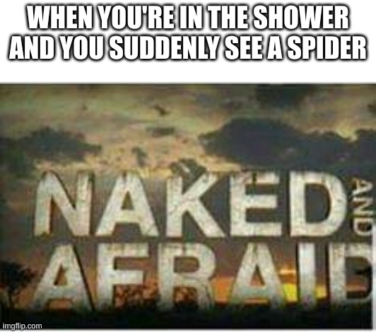 this happened to me last night | WHEN YOU'RE IN THE SHOWER AND YOU SUDDENLY SEE A SPIDER | image tagged in naked and afraid,funny,spider | made w/ Imgflip meme maker