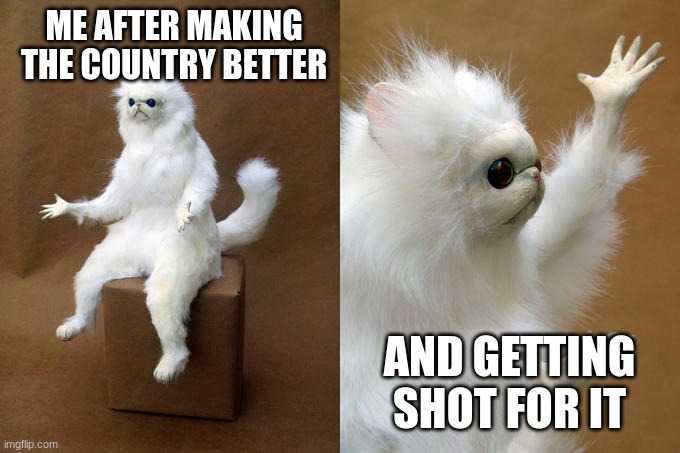 Persian Cat Room Guardian | ME AFTER MAKING THE COUNTRY BETTER; AND GETTING SHOT FOR IT | image tagged in memes,persian cat room guardian | made w/ Imgflip meme maker