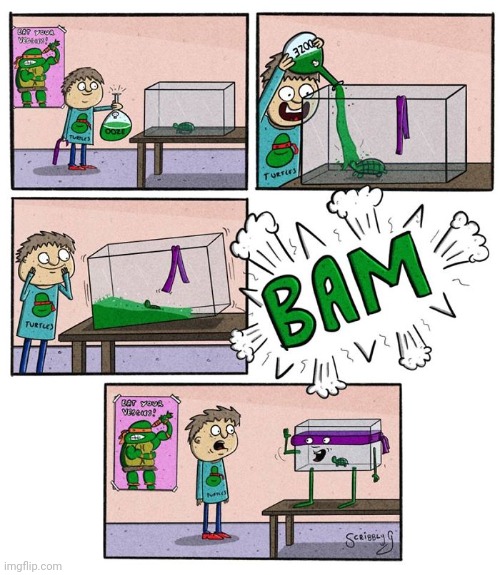 BAM | image tagged in teenage mutant ninja turtles,turtles,turtle,comics,comics/cartoons,comic | made w/ Imgflip meme maker