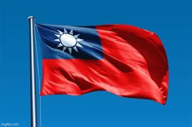 Taiwan Flag | image tagged in taiwan flag | made w/ Imgflip meme maker