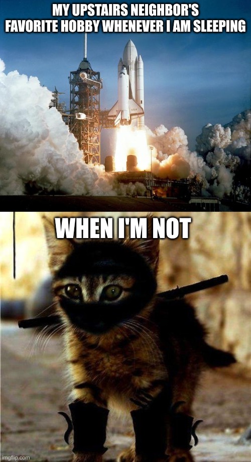 why | MY UPSTAIRS NEIGHBOR'S FAVORITE HOBBY WHENEVER I AM SLEEPING; WHEN I'M NOT | image tagged in rocket launch,ninja cat,why | made w/ Imgflip meme maker