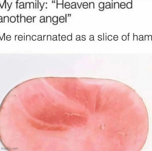 ham | made w/ Imgflip meme maker