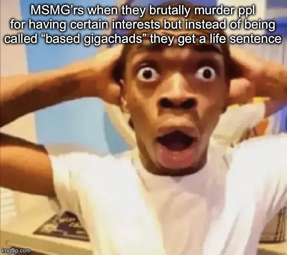 in shock | MSMG’rs when they brutally murder ppl for having certain interests but instead of being called “based gigachads” they get a life sentence | image tagged in in shock | made w/ Imgflip meme maker