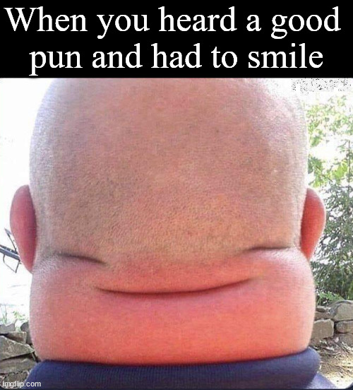 That smile when you hear a bad pun | When you heard a good 
pun and had to smile | image tagged in smiles,bad puns,that look you give | made w/ Imgflip meme maker