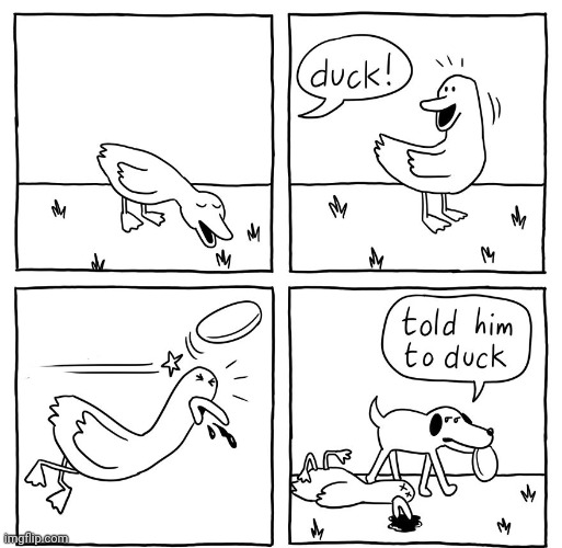 Didn't duck down duck | image tagged in ducks,duck,comics,comic,dog,comics/cartoons | made w/ Imgflip meme maker