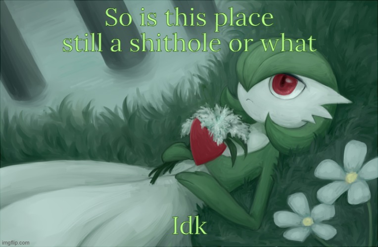 am i wrong? | So is this place still a shithole or what; Idk | image tagged in gardevoir lying in the grass | made w/ Imgflip meme maker