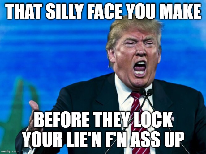 poor little baby wanna be dictator yelling witch hunt over and over | THAT SILLY FACE YOU MAKE; BEFORE THEY LOCK YOUR LIE'N F'N ASS UP | image tagged in trump yelling,witch hunt,rino,maga,dictator,fascist | made w/ Imgflip meme maker