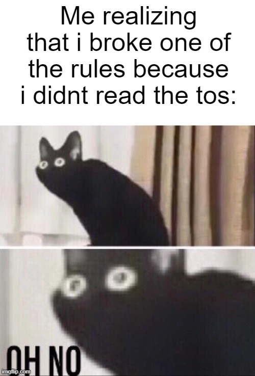 Sometimes it happens, But that doesnt stop you from not reading it!!! | Me realizing that i broke one of the rules because i didnt read the tos: | image tagged in oh no cat | made w/ Imgflip meme maker