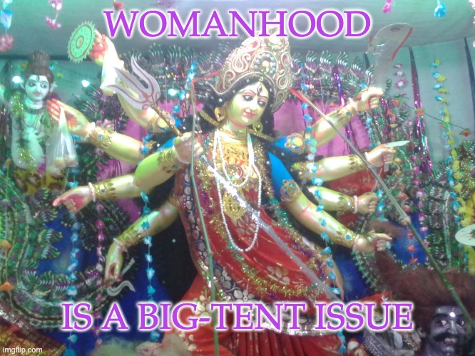 For those who think that trans women should be resented by other women | WOMANHOOD IS A BIG-TENT ISSUE | image tagged in hindu goddess,woman,womanhood,gender,transgender | made w/ Imgflip meme maker