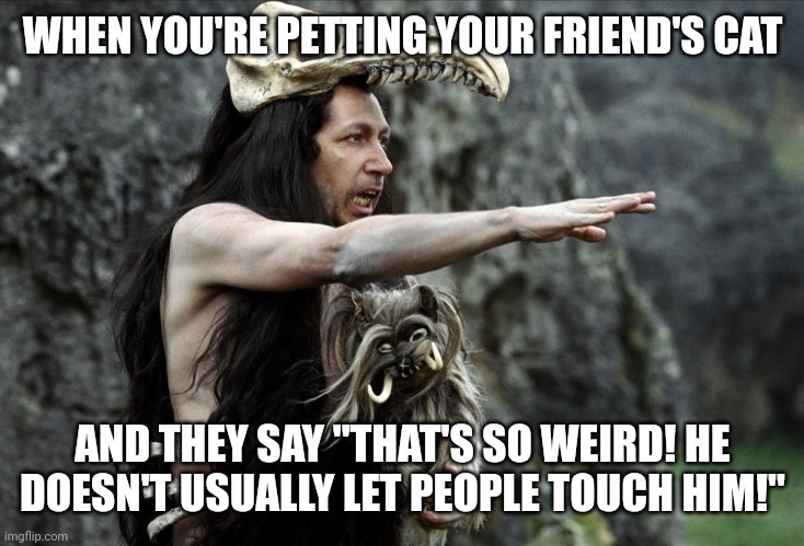 Animals are a good judge of character | WHEN YOU'RE PETTING YOUR FRIEND'S CAT; AND THEY SAY "THAT'S SO WEIRD! HE DOESN'T USUALLY LET PEOPLE TOUCH HIM!" | image tagged in shaman | made w/ Imgflip meme maker