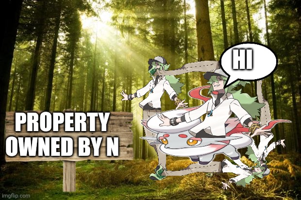 I MADE POKEMON N HOUSE | HI; PROPERTY OWNED BY N | image tagged in sunlit forest | made w/ Imgflip meme maker
