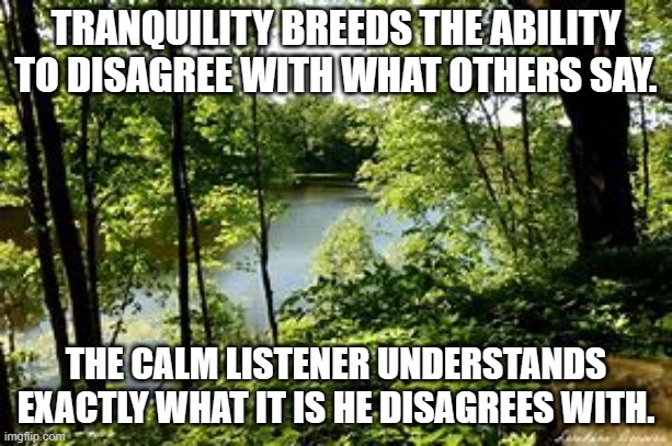 TRANQUILITY BREEDS THE ABILITY TO DISAGREE WITH WHAT OTHERS SAY. THE CALM LISTENER UNDERSTANDS EXACTLY WHAT IT IS HE DISAGREES WITH. | made w/ Imgflip meme maker