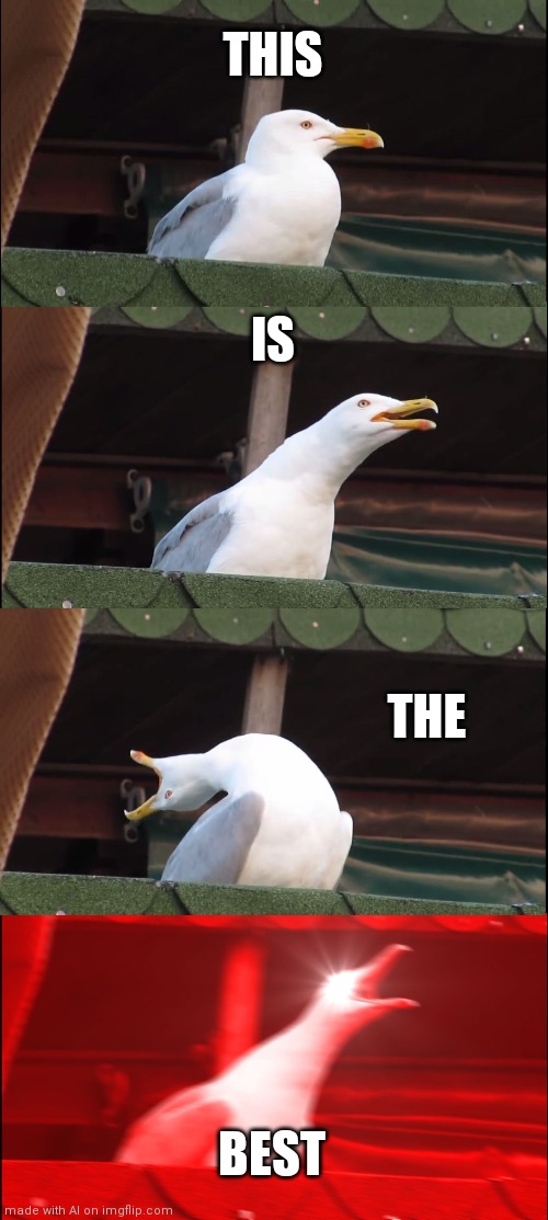 THIS IS THE BEST | THIS; IS; THE; BEST | image tagged in memes,inhaling seagull | made w/ Imgflip meme maker